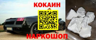 крисы Славгород