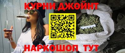 крисы Славгород