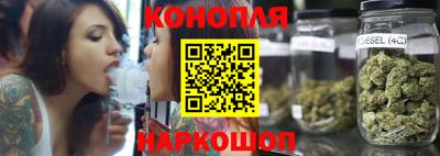 крисы Славгород
