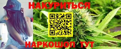 крисы Славгород