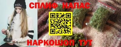 крисы Славгород