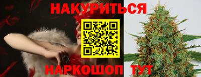 крисы Славгород