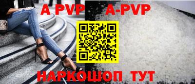 крисы Славгород