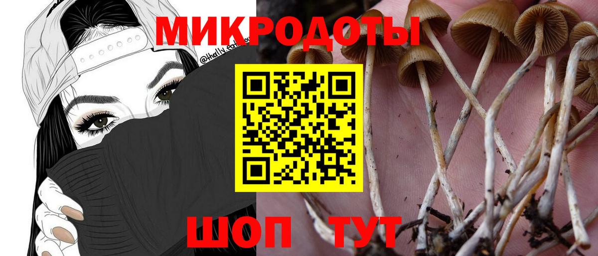 Псилоцибиновые грибы мухоморы Новоуральск