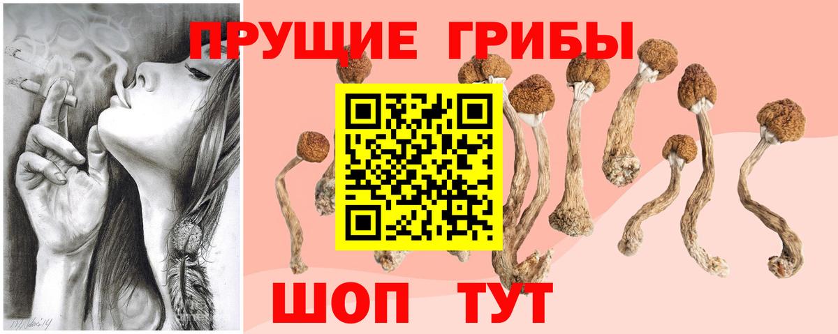 Новоуральск  Галлюциногенные грибы мицелий  Вход с VPN 